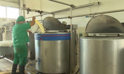 Crisis alimentaria en Cuba no hay leche para los niños que la recibían por la libreta