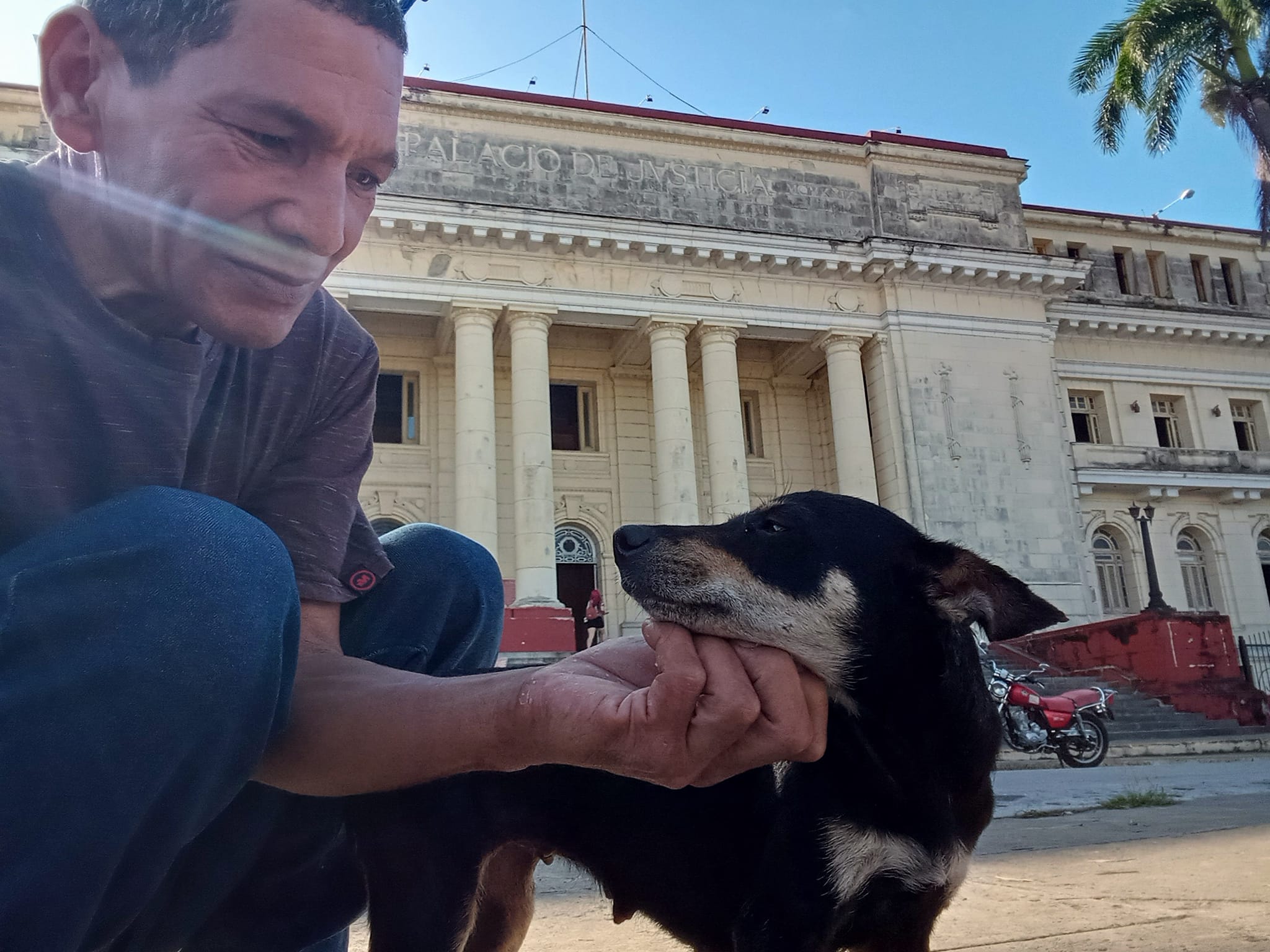 Defensor de animales en Cuba enfrenta dos años de prisión por criticar al régimen