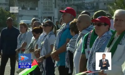 Díaz-Canel protegido por un anillo de ocho guardaespaldas marcha en favor de Palestina