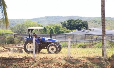 El gobierno controla el 80% de la tierra en Cuba ¿de quién es la culpa que no haya comida