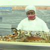 Langostas “emigran” de Cuba y por eso bajan los niveles de pesca, según justificación oficial