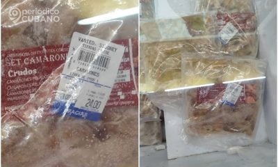 Tiendas en MLC ofertan camarones cubanos a 6.000 CUP el kilo