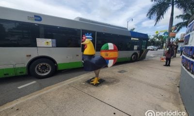 Transporte público gratis en Miami-Dade a partir de este lunes