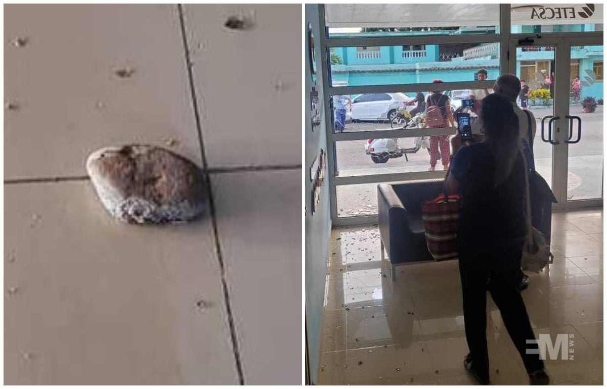 Vandalizan la sede provincial de ETECSA en Granma ¡Con un pan!