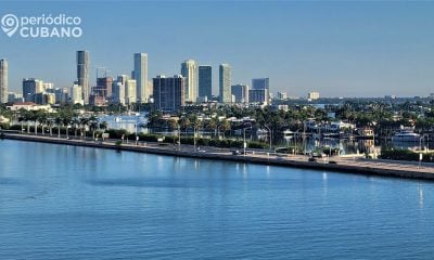 Descubre los negocios más rentables en Miami para 2024 y cómo empezarlos