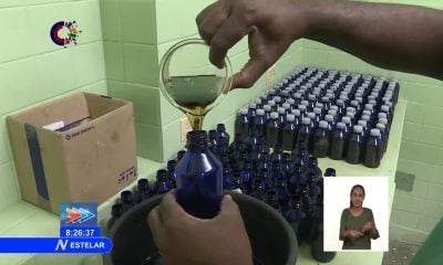 Falta de agua destilada y azúcar impide que los cubanos tengan medicina natural y tradicional 