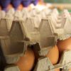 Llegan a Cuba los primeros huevos colombianos tras acuerdo comercial 