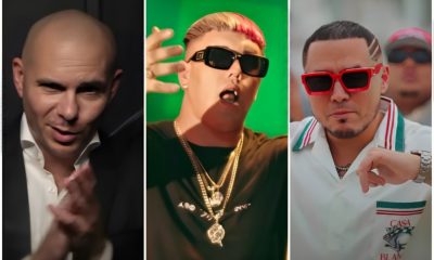 Mawell-PItbull-IamChino (1)