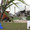 Zafra azucarera en Cuba solo tiene el 18% de los insumos garantizados