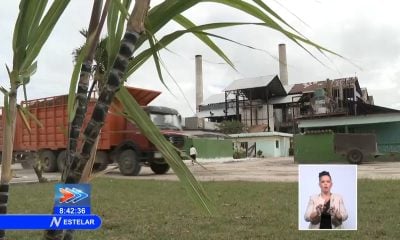 Zafra azucarera en Cuba solo tiene el 18% de los insumos garantizados