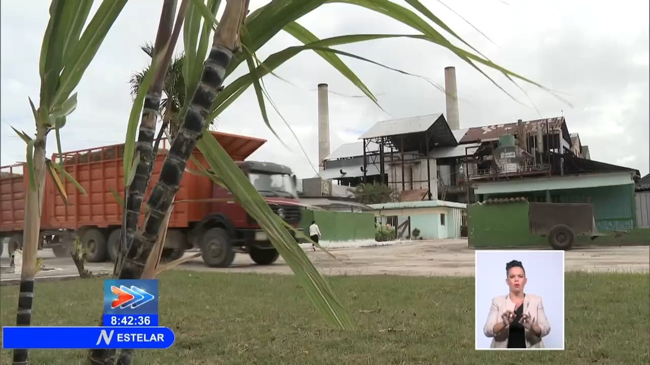 Zafra azucarera en Cuba solo tiene el 18% de los insumos garantizados