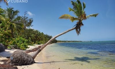 Descubre cómo llevar a tu familia de Cuba a Punta Cana para unas vacaciones inolvidables