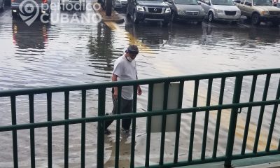 Propietarios de viviendas en Miami-Dade tendrán descuento del 35% en el pago del seguro por inundación
