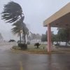 Fuertes vientos y lluvias provoca caída de árboles y cortes de electricidad en La Habana