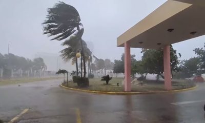 Fuertes vientos y lluvias provoca caída de árboles y cortes de electricidad en La Habana