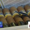 Habanos S.A rompe récord al recaudar 721 millones de dólares por la venta de tabacos