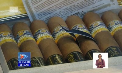 Habanos S.A rompe récord al recaudar 721 millones de dólares por la venta de tabacos