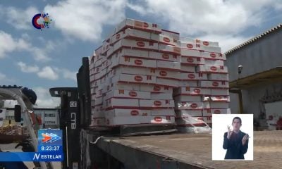Roban 39 cajas de pollo destinadas a la distribución por la libreta de abastecimiento