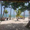 Top 4 de hoteles todo incluido en Punta Cana para unas vacaciones en 2024
