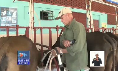 Campesinos cubanos inconformes por trabas del Estado para pagar la leche