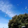Representantes de Florida aprueban ley para prohibir el lanzamiento de globos