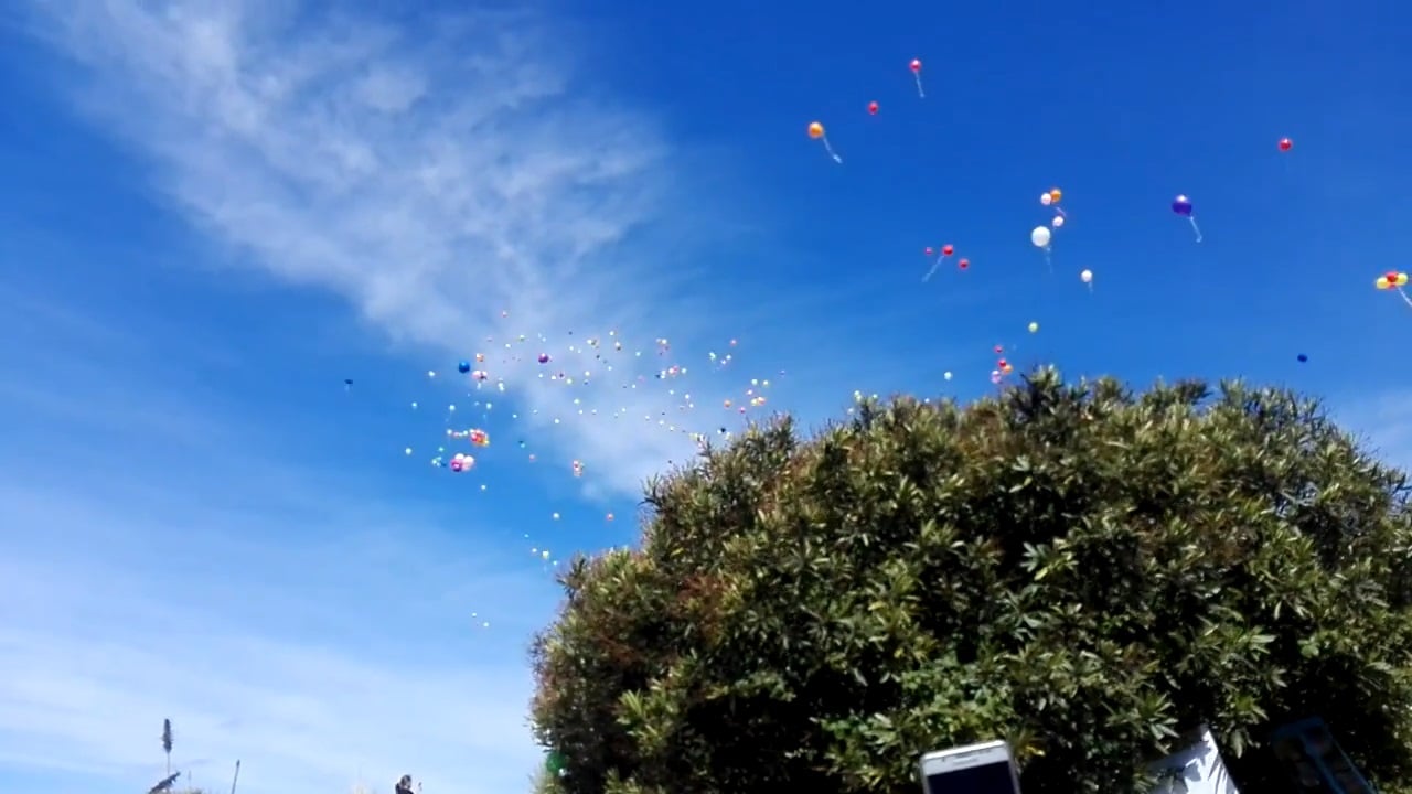 Representantes de Florida aprueban ley para prohibir el lanzamiento de globos
