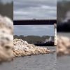 barco choca con puente rio Arkansas Sallisaw Oklahoma