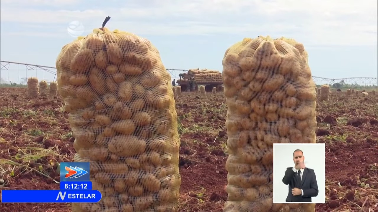Decomisan más de seis toneladas de papa a una Mipyme en Las Tunas