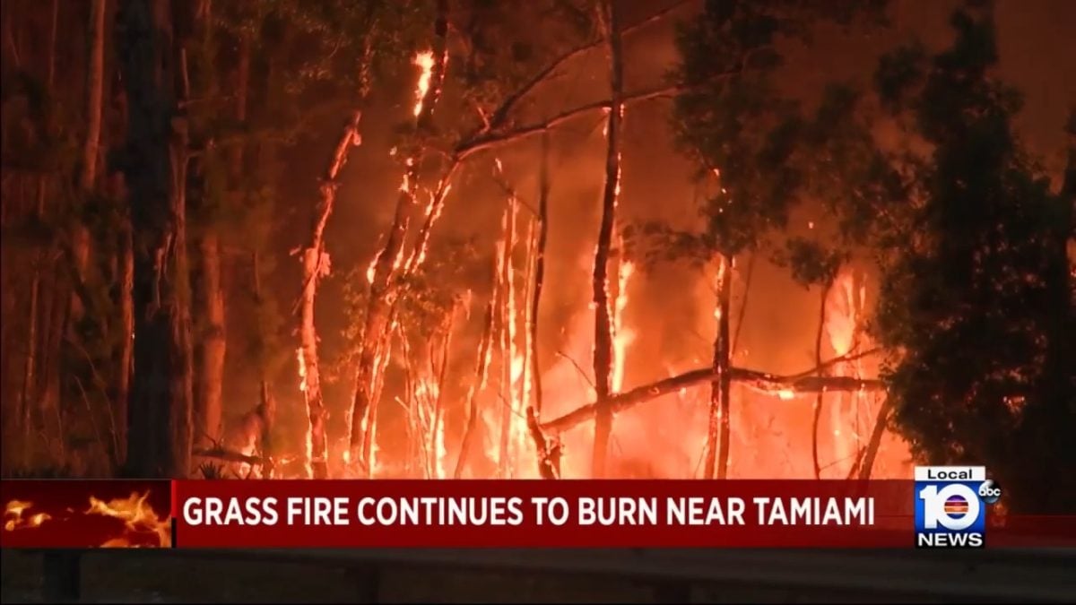 Devastador incendio sorprende a residentes en el suroeste de Miami