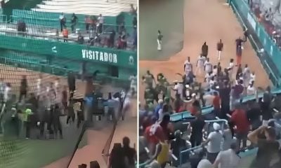 Trifulca masiva por polémica decisión arbitral en el béisbol cubano