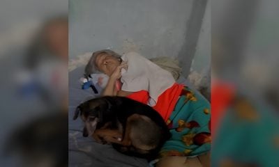Anciana cubana protectora de animales se encuentra en crítico estado de salud (1)