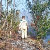Bajo control uno de los dos incendios de grandes proporciones en Pinar del Río