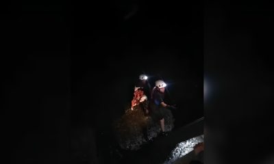 Bomberos salvan a perro atrapado en rocas del Malecón de La Habana (2)