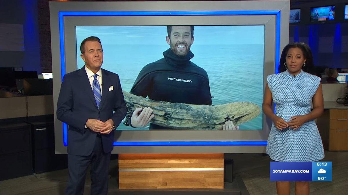Buzo encuentra un colmillo de mastodonte en aguas de Florida 3