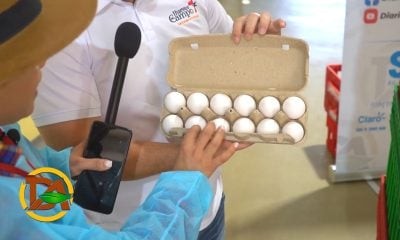 Cuba a punto de importar huevos y pollo desde República Dominicana