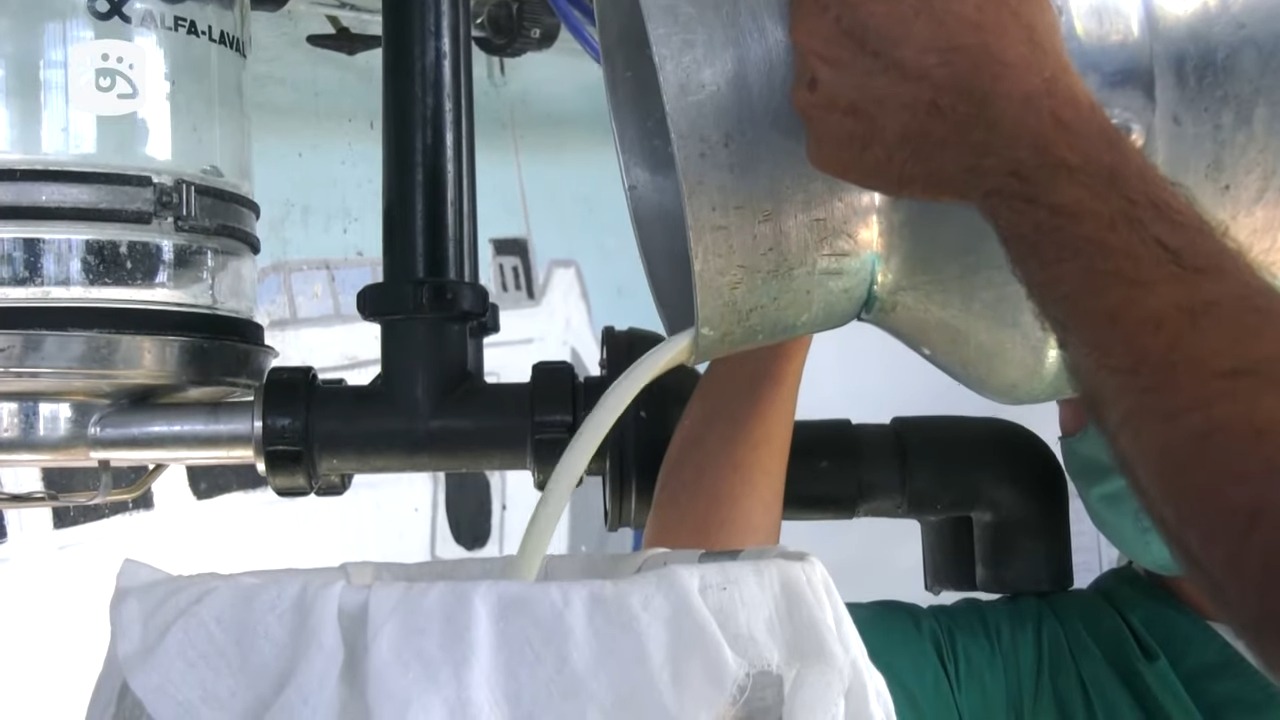 Cuba produce un tercio de la leche de vaca que logró hace más de 30 años