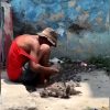 Cubano atrapa un ave carroñera para comerla con caldosa en La Habana (1)