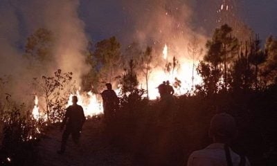 Desbastadores incendios consumen más de 230 hectáreas de bosques en Pinar del Río