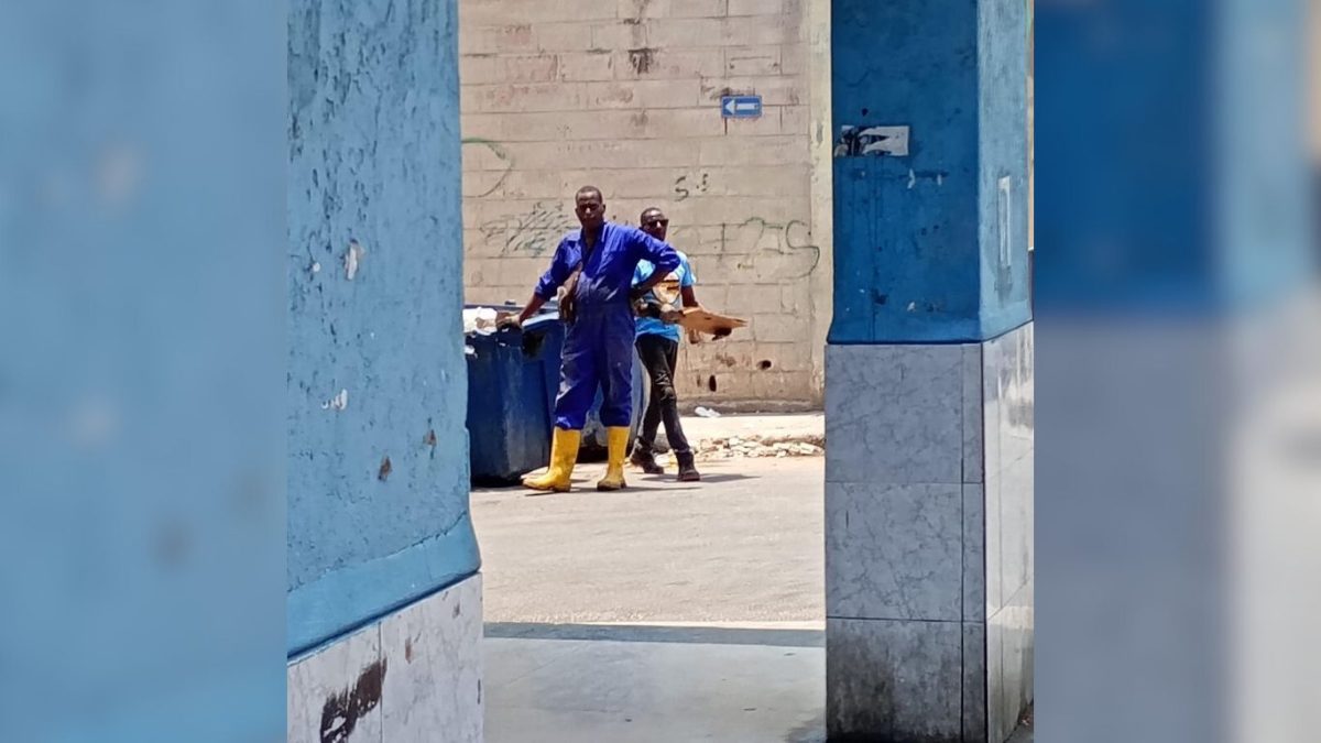 El trovador cubano Fernando Bécquer goza de una semilibertad tras abusar de 30 mujeres
