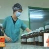 Gaceta Oficial decreta subida de precio a los productos de la medicina natural y tradicional
