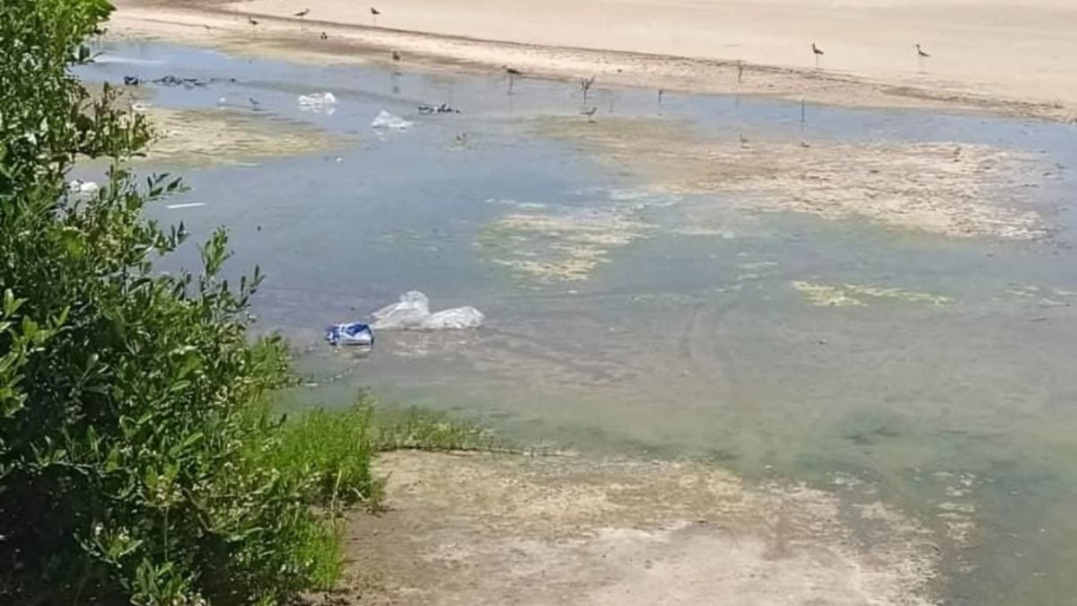 Hotel Meliá provoca una crisis ambiental en playas y manglares de Trinidad (1)