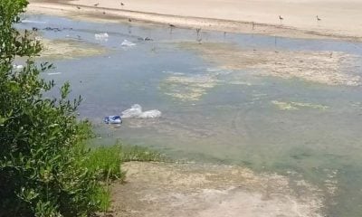 Hotel Meliá provoca una crisis ambiental en playas y manglares de Trinidad (1)