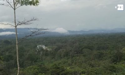 Menos de 400 cubanos han atravesado la selva del Darién en el actual año (1)