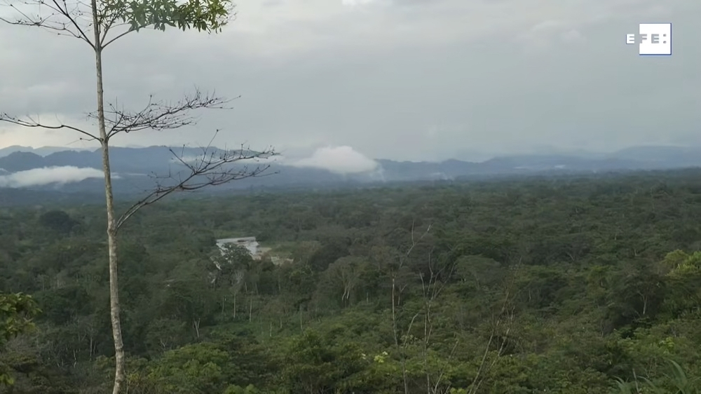 Menos de 400 cubanos han atravesado la selva del Darién en el actual año (1)