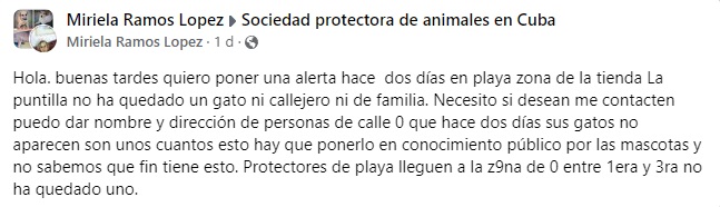 Reportan la desaparición de gatos callejeros y de casa en el municipio Playa