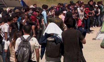 Abogado ofrece consejos para pasar entrevista de miedo creíble con cita de CBP One en la frontera de EEUU
