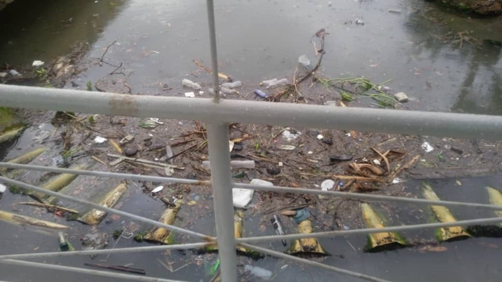Cancelan de nuevo la lanchita de Regla, ahora por exceso de basura en la Bahía de La Habana