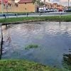 Casas en Miami-Dade, Palm Beach y Broward deberán contratar un seguro obligatorio contra inundaciones