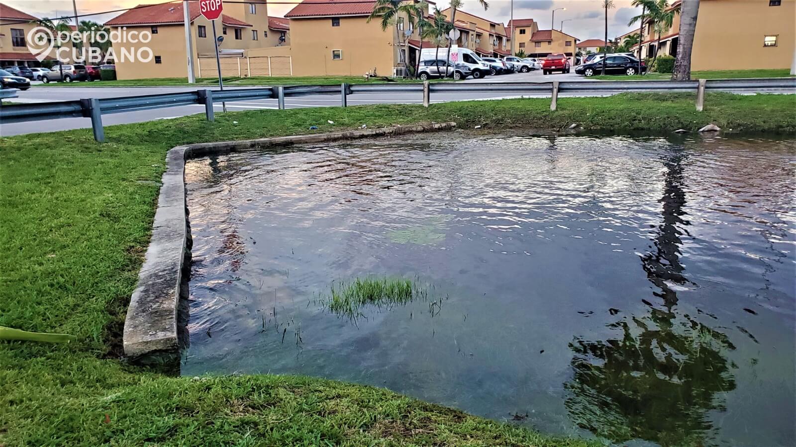 Casas en Miami-Dade, Palm Beach y Broward deberán contratar un seguro obligatorio contra inundaciones