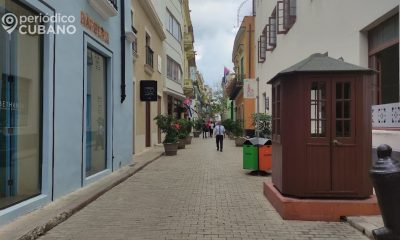 Confirman casos de Oropouche en centros laborales de La Habana